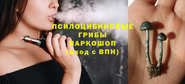 дурь Арсеньев