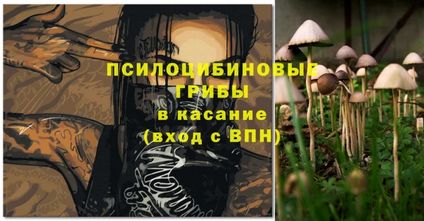 дурь Арсеньев