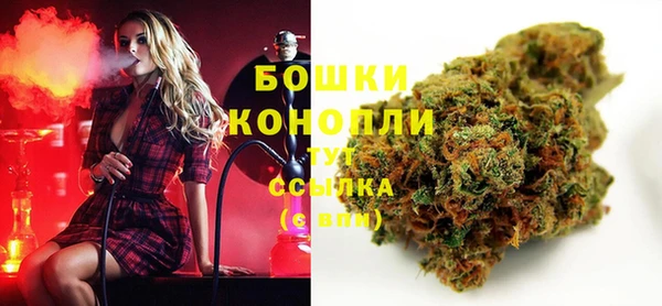 дурь Арсеньев